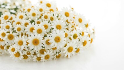 Selection of beneficial chamomile tea cups isolated on white