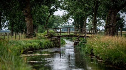 Obraz premium Small Wooden Bridge Over Tranquil Canal in Rural Countryside