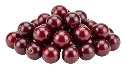 Isolated Acerola Cherry