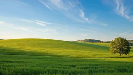 Bright Green Hills in Summer Sunlight