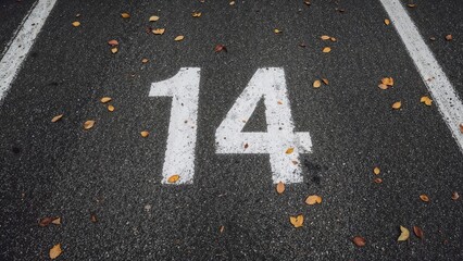 Design featuring parking space 14 indicated in white on bitumen with fall foliage, isolated frame and abstract theme