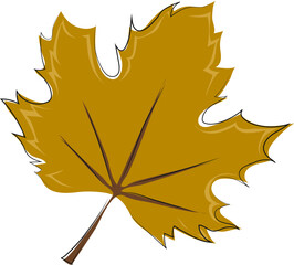 yellow maple leaf