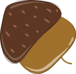 acorn