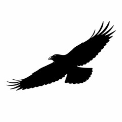 A black silhouette of a eagle bird, in flight with its wings spread wide against a plain white background.