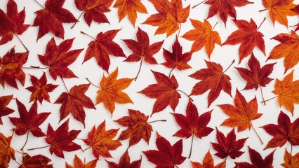 Red maple leaf design set against a white surface for fall imagery