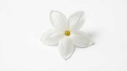 Fototapeta premium Isolated jasmine petals featured on a neutral background