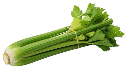 Fototapeta premium Isolated Celery