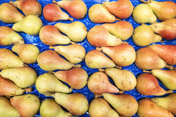 Pears in a market