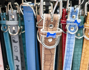 Colorful dog collars