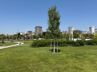 Suadiye Park by the Marmara Seaside – Kadıköy, Istanbul, Turkey