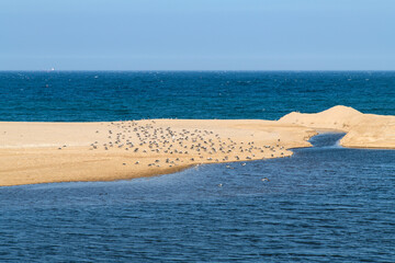 estuary with river and sea