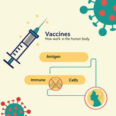 Infographic on how vaccines work in the human body generated by ai