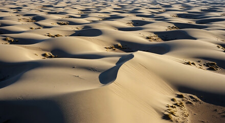 8X The Ibex Dunes in Death Valley, California, are stereotypical shape-shifting, wind-blown golden dunes
(NATURE)
SAND DUNES SHAPED BY THE WIND
