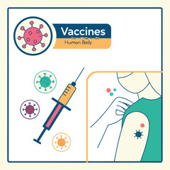 Infographic on how vaccines work in the human body generated by ai