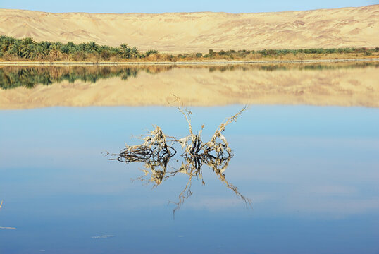 Al Farafra oasis, Egyp
