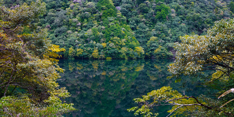 Reflection in a lake of Forest and trees in Japan before autumn season