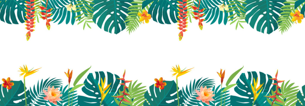 Caribbean background seamless border. Vector tropical beach jungle leaves bg. Brazil green plant rainforest frame. Hawaiian tree foliage. Floral paradise patern. Endless exotic island palm leaf banner