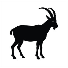 Goat vector illustration with silhouette of a wild horned mammal isolated on a white background