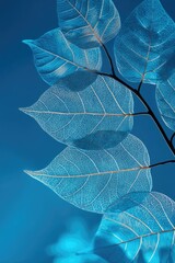 Obraz premium Close-up of translucent light-blue leaves against a deep blue sky