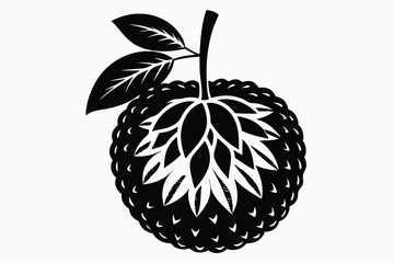 Black and White Silhouette of Lychee Fruit with Leaves and Stem Illustration