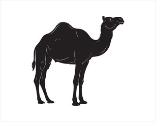 vector image of a camel silhouette