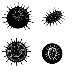 Fototapeta premium Illustration of various virus and bacteria shapes with spiky outer layers in black and white style