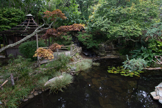 The Japanese Garden St Mawgan Cornwall