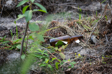 An Abandoned Bottle Found Amidst Natures Resilience and Struggles for Survival and Growth