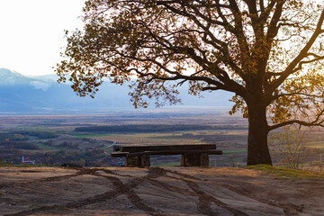 Wooden bench under the tree branches on the top of the hill with a fields view. Sunrise in...
