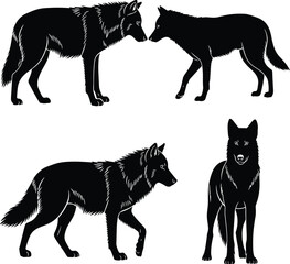 Black silhouette wolves standing, walking, facing each other, wild animal vector, forest wildlife illustration, predator clipart, isolated wolf pack design