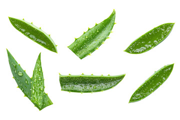 Fresh green aloe vera leaf slices with water droplets isolated on transparent background