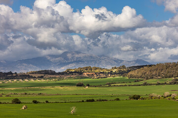 Hilly landscape with fields and pastures and view of the Serra de Tramuntana mountains with the...