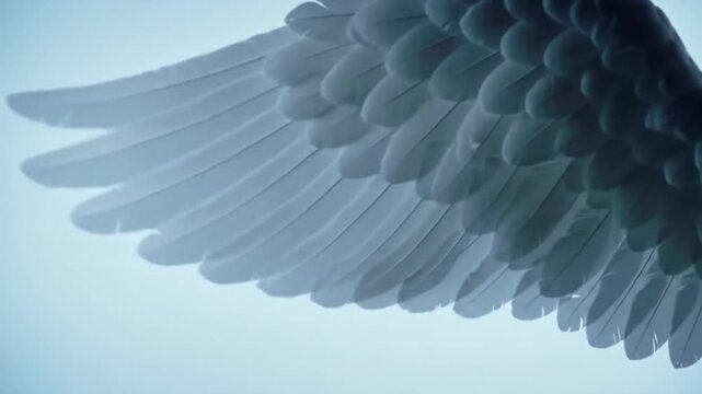 White Angel Wings Flapping Slowly With Wind Ripple on a Serene Blue Gradient Background Texture Creates A Ethereal Visual Symbolizing Freedom and Peace