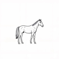 Obraz premium Sketch of a standing horse on a white background