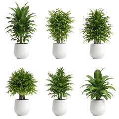 Collection of six potted green plants isolated on transparent background