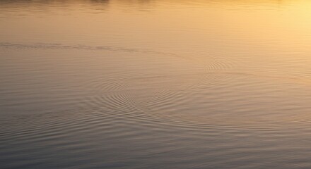 Calm water surface at sunset shows circular wave patterns and subtle ripples
