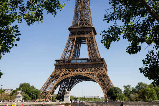Majestic Eiffel Tower detail, framed by summer foliage, vibrant sunny day, Parisian landmark.