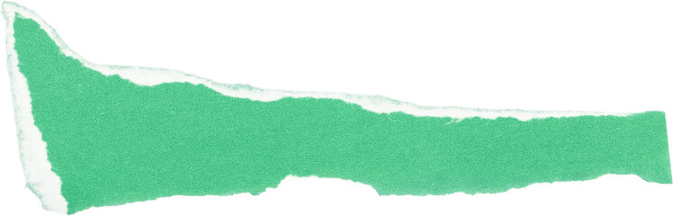 Green torn paper edge texture isolated on white background