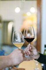 Wine tasting experience: hands toasting with red and white wine glasses