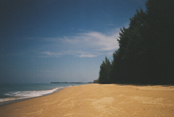 Tropical beach with golden sand and pine trees, film photo