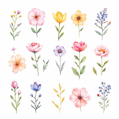 Obraz premium Set Fresh, Bright Floral Designs for Inspiration