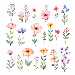 Maple leaves in a watercolor style isolated. Aquarelle leaf for background, texture, wrapper pattern, frame or border.