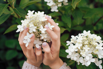 Hands gently holding a cluster of delicate white flowers in a lush garden setting during late spring