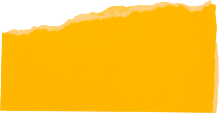 Torn yellow paper texture isolated on white background for creative design and stationery use