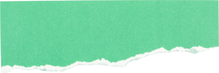 Green textured paper strip isolated on white background for creative design and craft projects