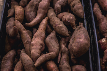 Box with sweet potatoes for sale in Livramento food market in Setubal town, Portugal