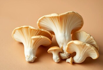 Delicate oyster mushrooms, fan-shaped caps, beige background Gourmet, organic, farm-fresh,  mushroom cultivation,  mushrooms