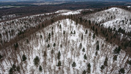 A natural scene of snowy rocks and dense forest in a hilly region