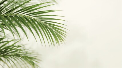 Fototapeta premium Lush green palm leaves blurred against a bright surface
