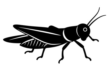 Black grasshopper insect silhouette on white background